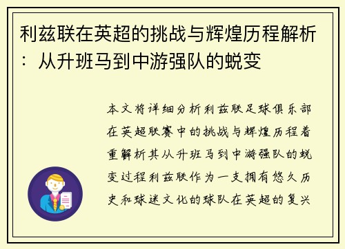 利兹联在英超的挑战与辉煌历程解析：从升班马到中游强队的蜕变